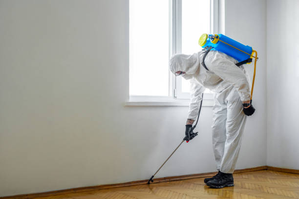 Best Commercial Pest Control Services  in St Peter, WI