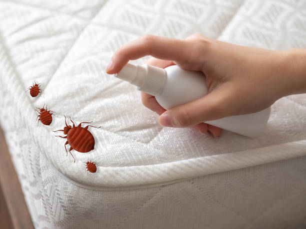 Best Pest Removal Services  in St Peter, WI
