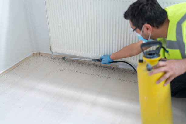 Best Pest Inspection Near Me  in St Peter, WI